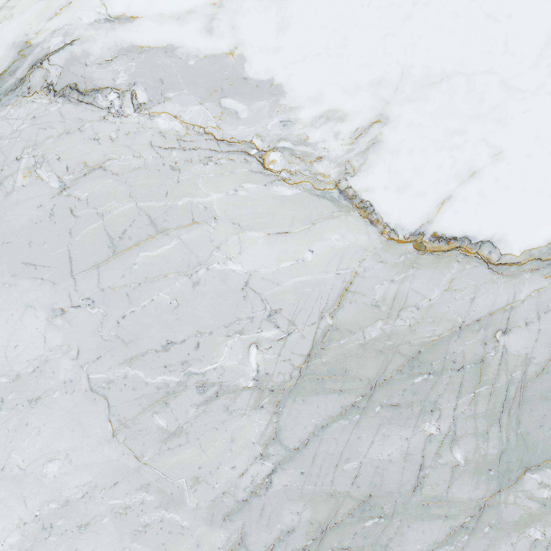 CALACATTA GOLD NATURAL 674